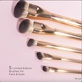 The Ritzy Collection 5 PCS BRUSH SET